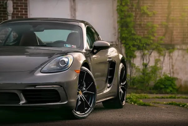 Kasino Spin Pug Apl Android/iOS